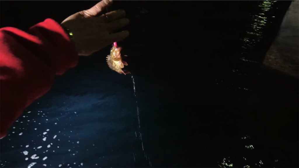 f:id:dreadnote666:20220201111216p:image