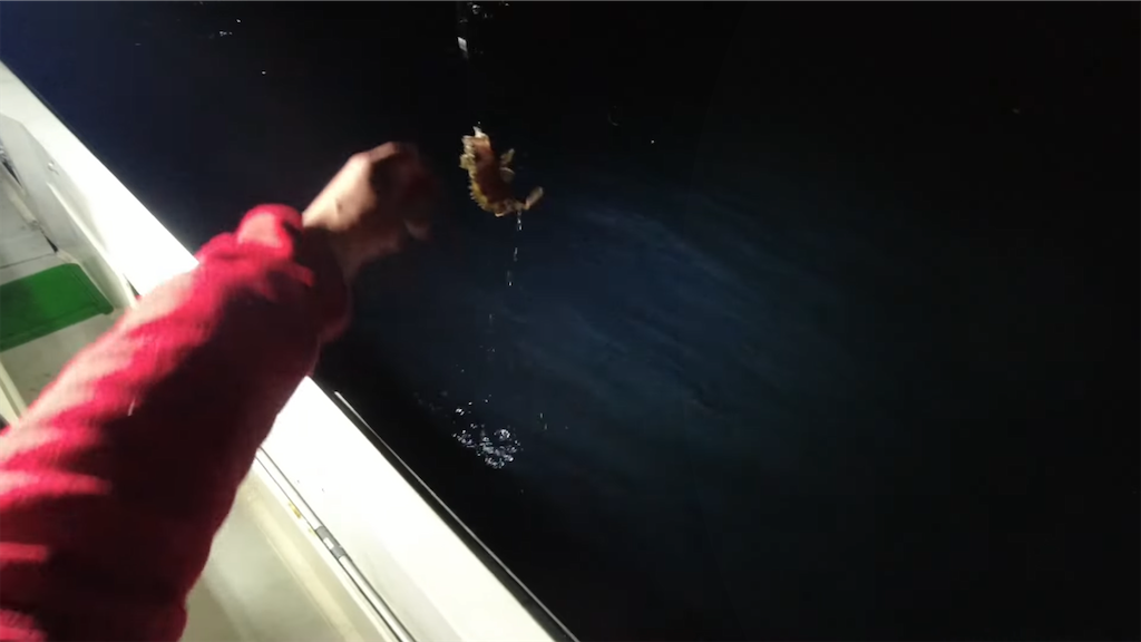 f:id:dreadnote666:20220201111331p:image