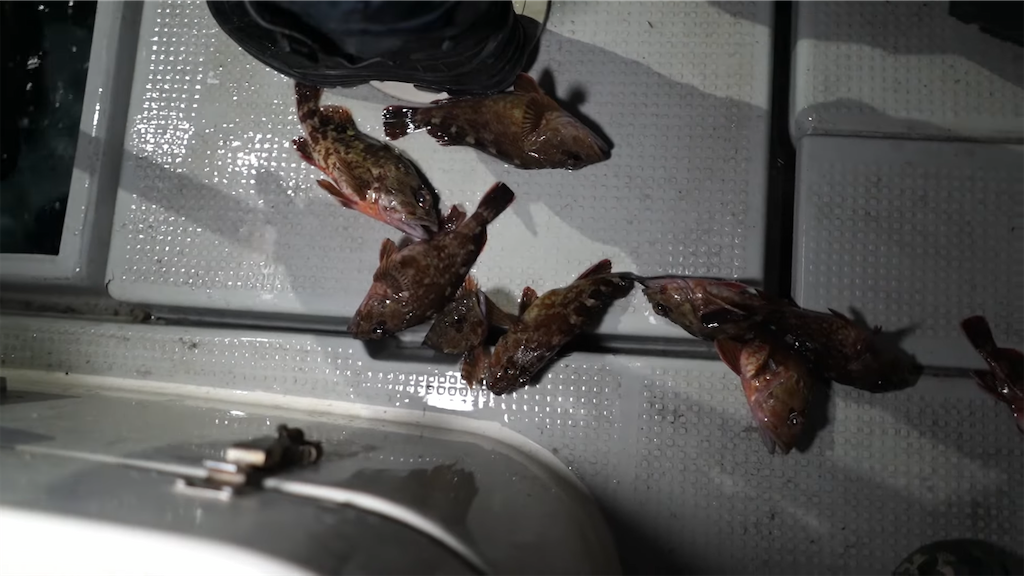 f:id:dreadnote666:20220201111346p:image