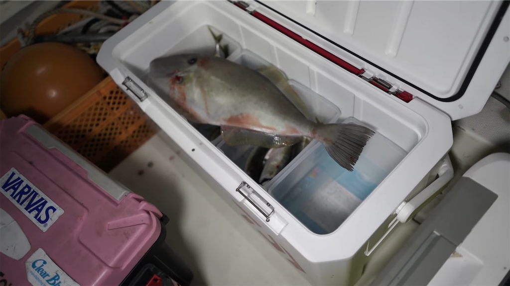 f:id:dreadnote666:20220201111413p:image