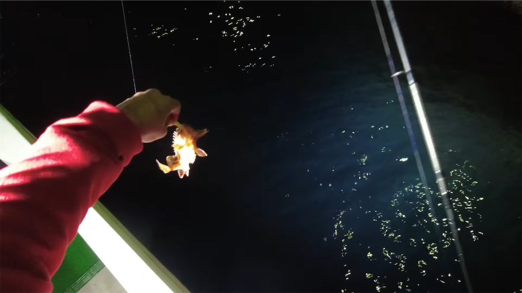 f:id:dreadnote666:20220201111430p:image