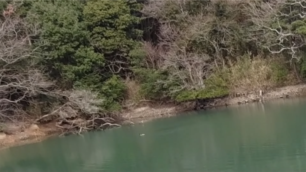 f:id:dreadnote666:20220210121845p:image