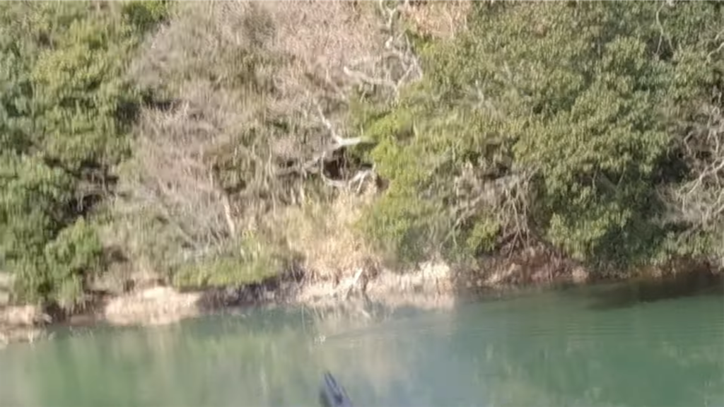 f:id:dreadnote666:20220210121906p:image