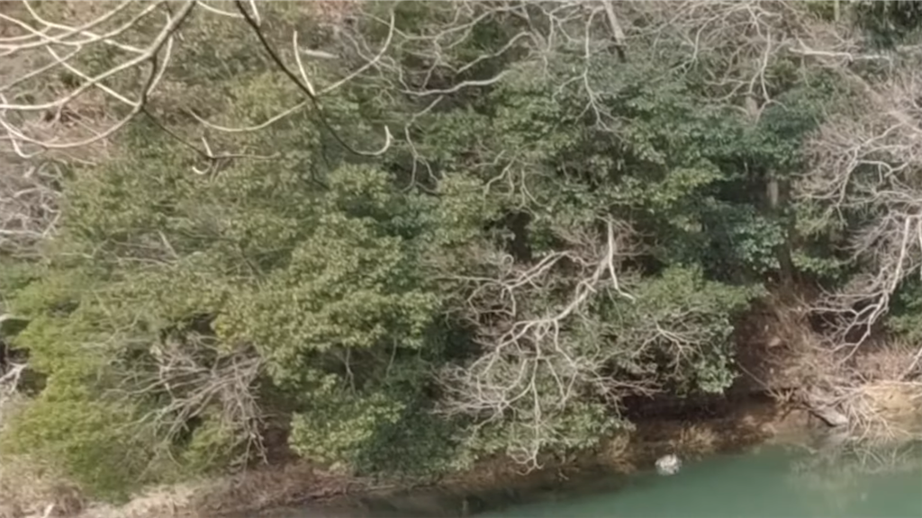 f:id:dreadnote666:20220210121917p:image