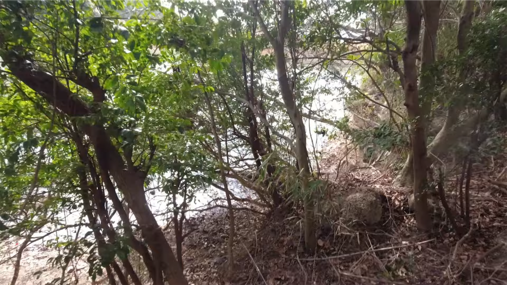 f:id:dreadnote666:20220210122025p:image