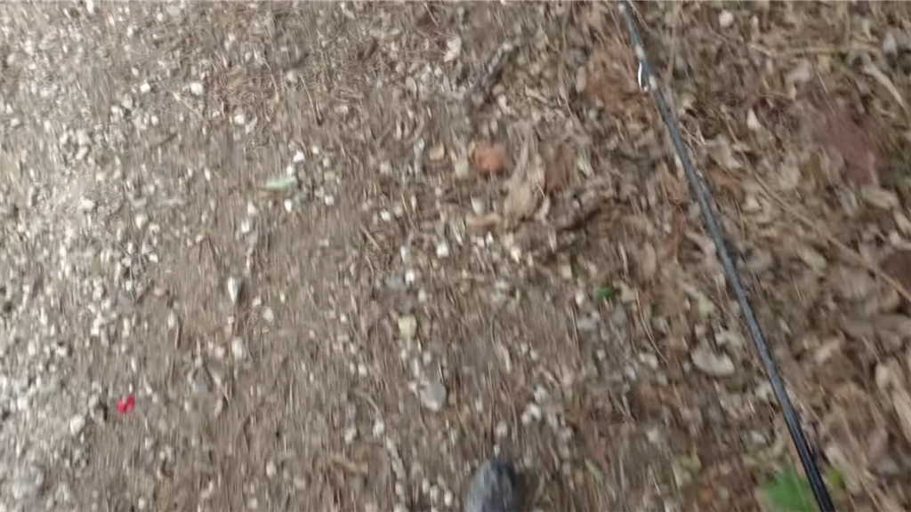 f:id:dreadnote666:20220210122036p:image