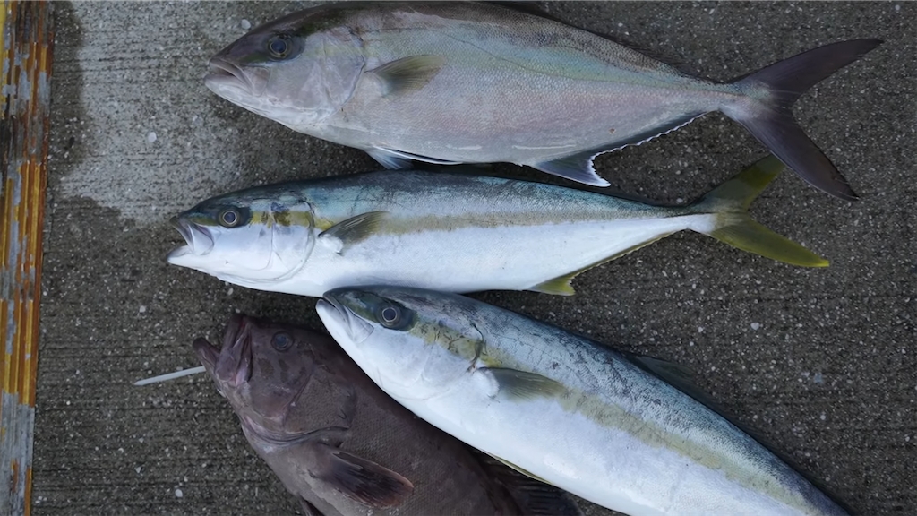 f:id:dreadnote666:20220214110656p:image