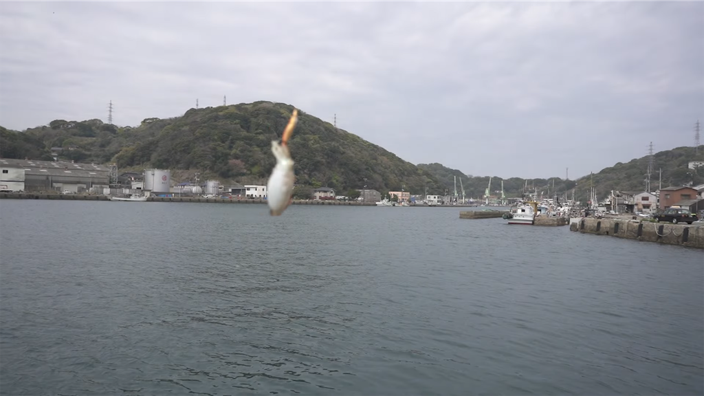 f:id:dreadnote666:20220413120114p:image f:id:dreadnote666:20220413120114p:image