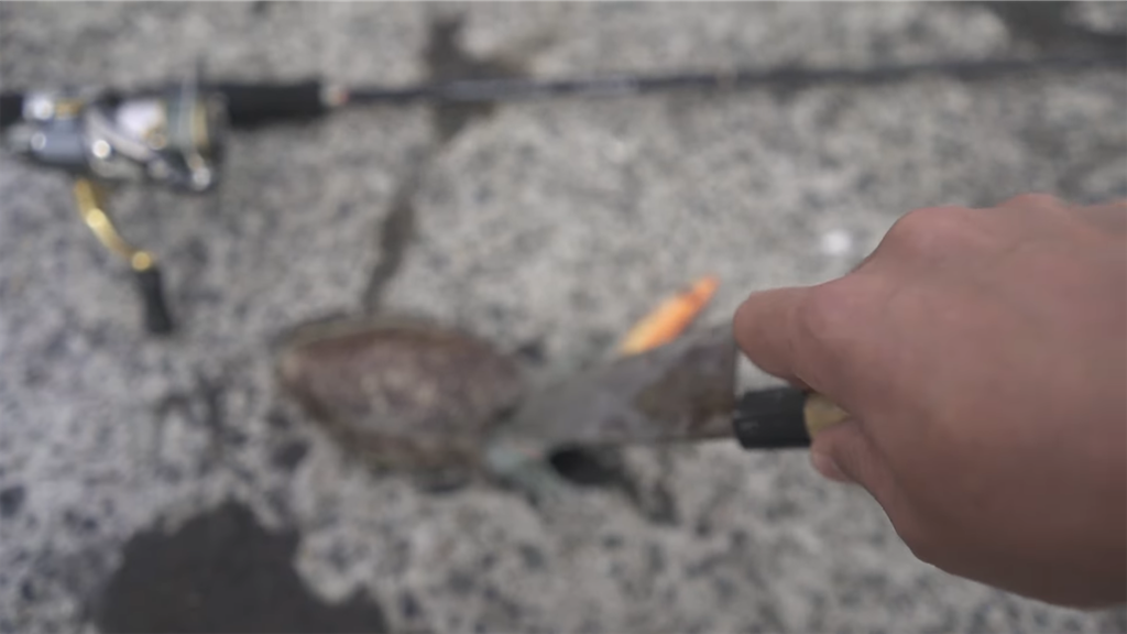 f:id:dreadnote666:20220413120155p:image f:id:dreadnote666:20220413120155p:image