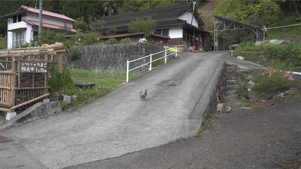 f:id:dreadnote666:20220506111848p:image