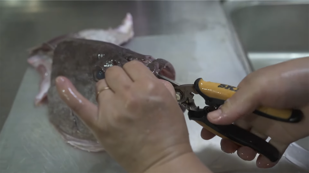 f:id:dreadnote666:20220607122008p:image