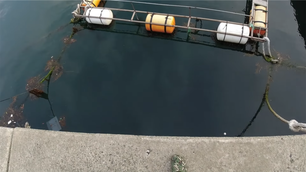 f:id:dreadnote666:20220620112726p:image f:id:dreadnote666:20220620112726p:image