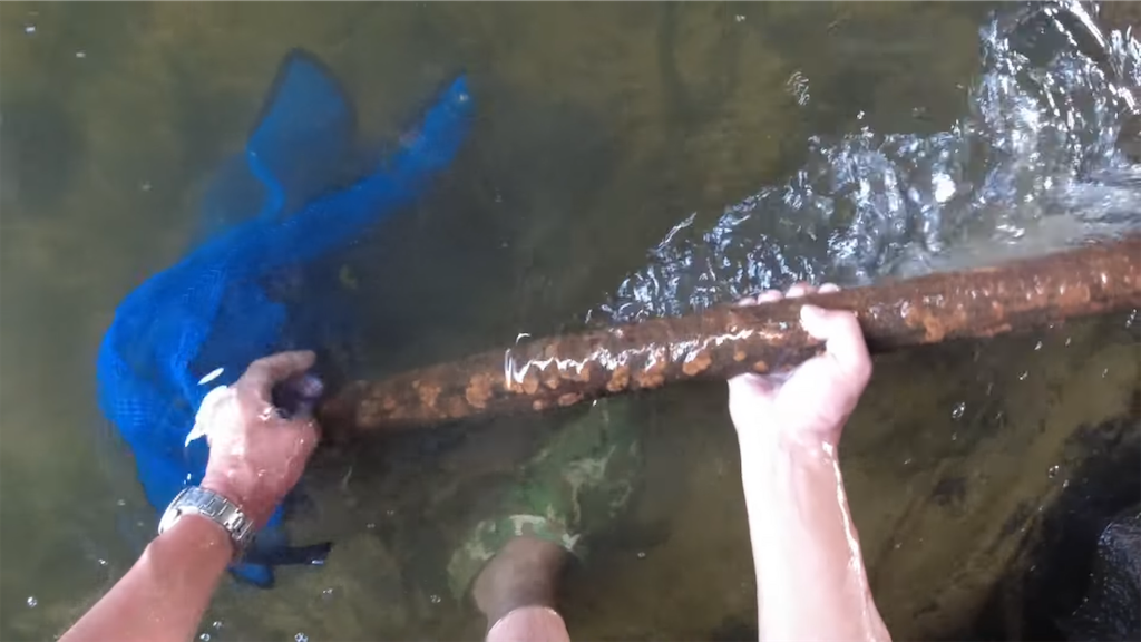 f:id:dreadnote666:20220620112919p:image f:id:dreadnote666:20220620112919p:image