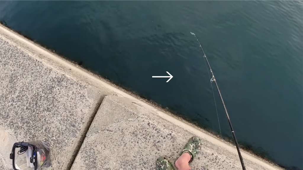 f:id:dreadnote666:20220620112939p:image f:id:dreadnote666:20220620112939p:image