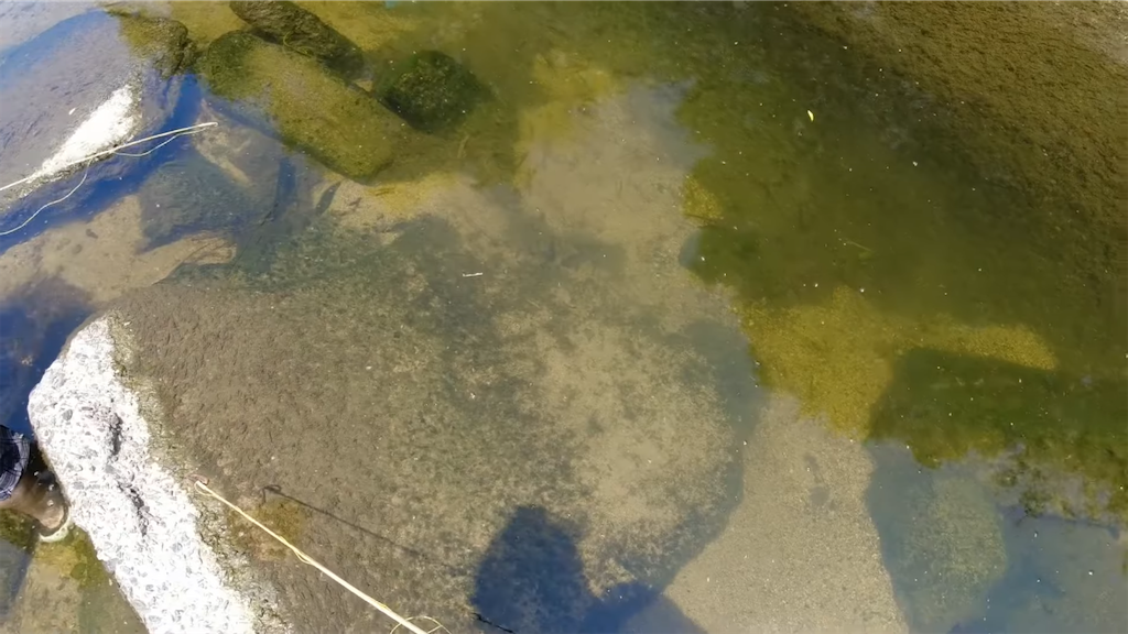 f:id:dreadnote666:20220620113058p:image f:id:dreadnote666:20220620113058p:image