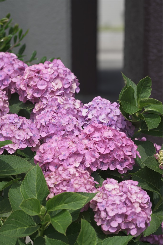 f:id:dreadnote666:20220621111551j:image f:id:dreadnote666:20220621111551j:image