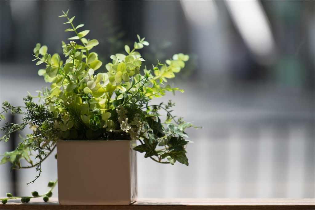 f:id:dreadnote666:20220621111555j:image f:id:dreadnote666:20220621111555j:image