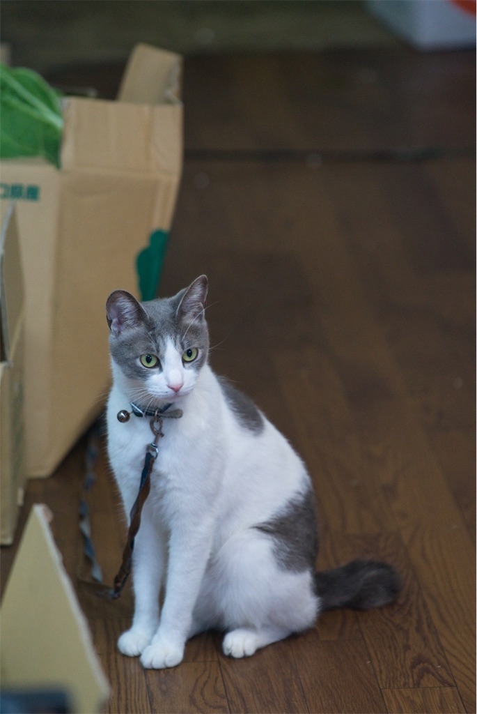 f:id:dreadnote666:20220627112704j:image