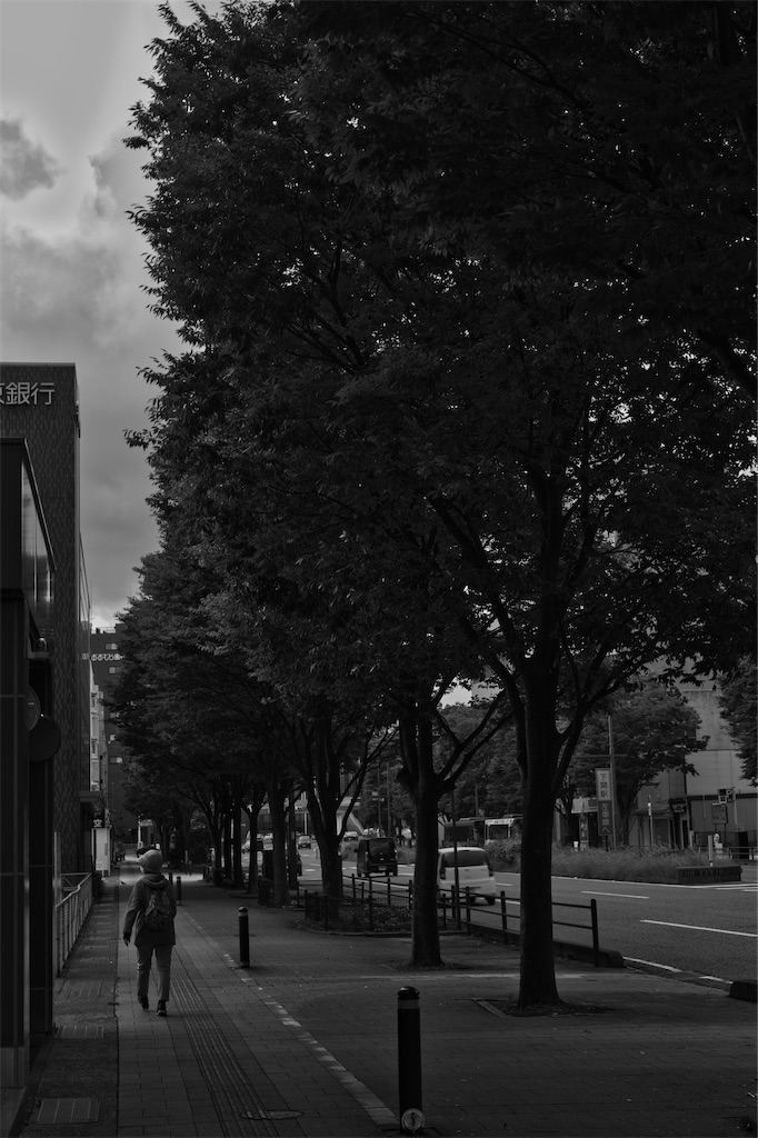 f:id:dreadnote666:20220627112714j:image