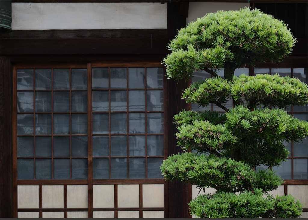 f:id:dreadnote666:20220627112730j:image