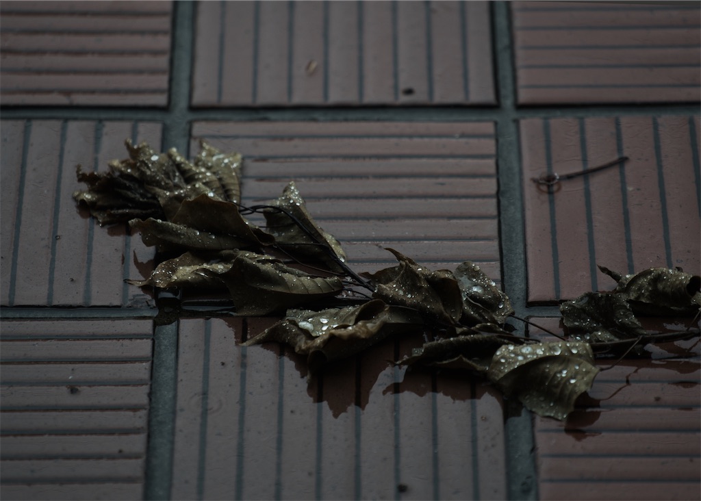 f:id:dreadnote666:20220627112753j:image