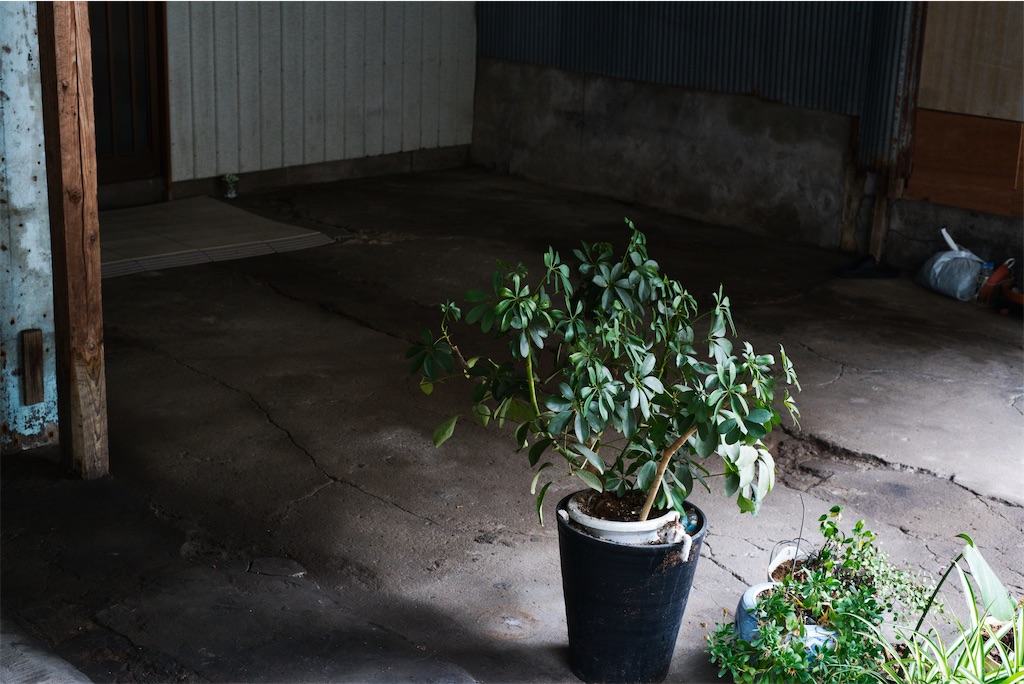 f:id:dreadnote666:20220627112821j:image