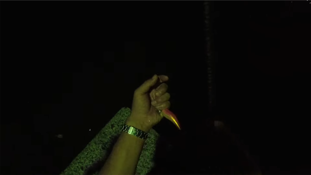 f:id:dreadnote666:20220704123345p:image