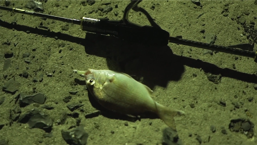 f:id:dreadnote666:20220908121048p:image