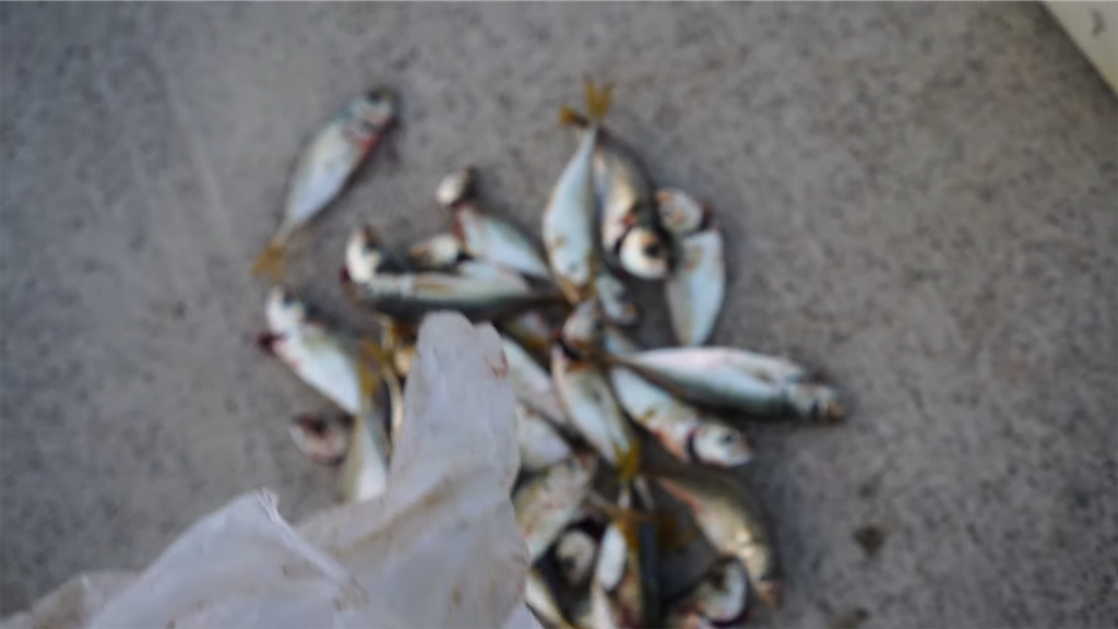 f:id:dreadnote666:20220926121123p:image