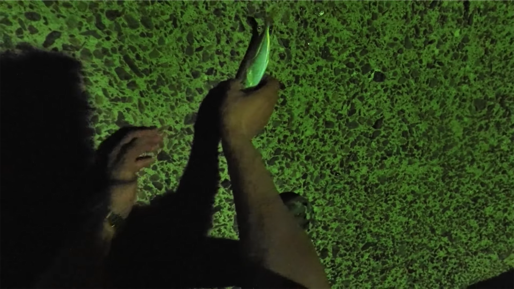 f:id:dreadnote666:20220926121313p:image