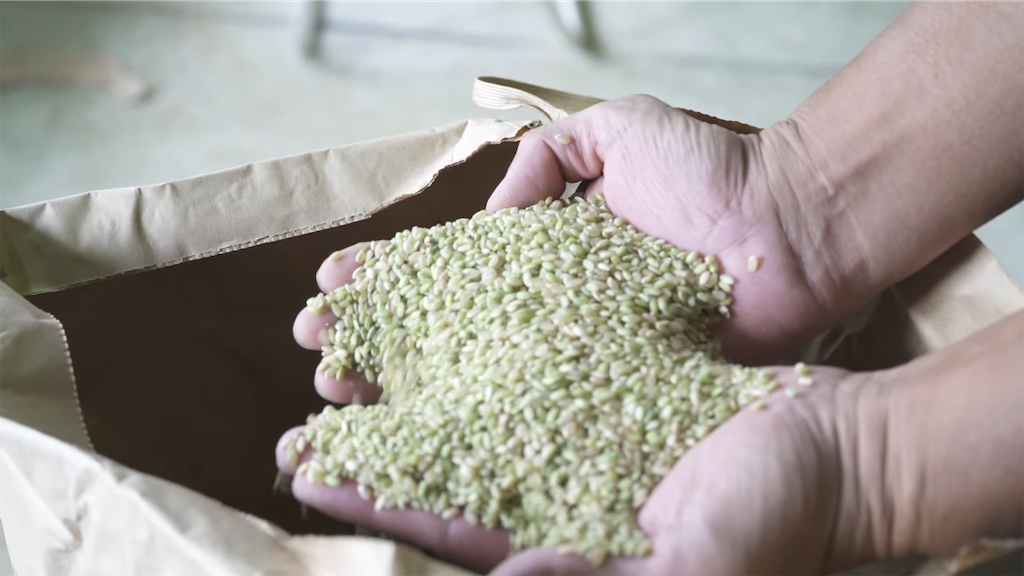 f:id:dreadnote666:20220927123647p:image