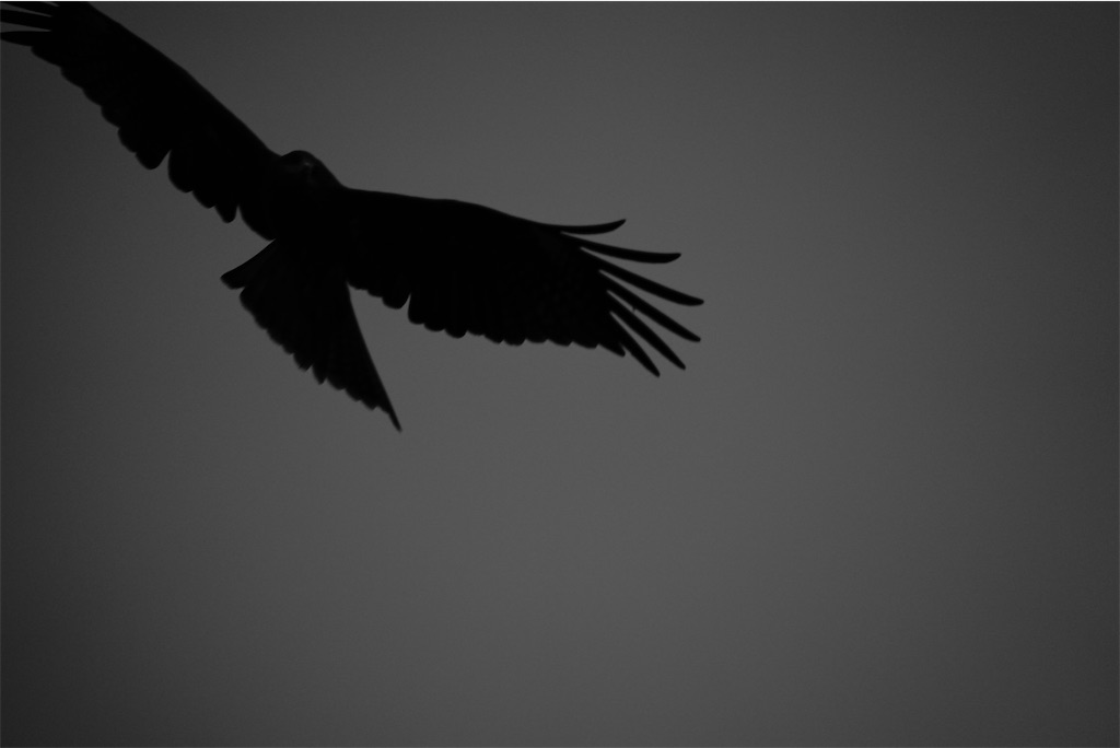 f:id:dreadnote666:20221014122115j:image