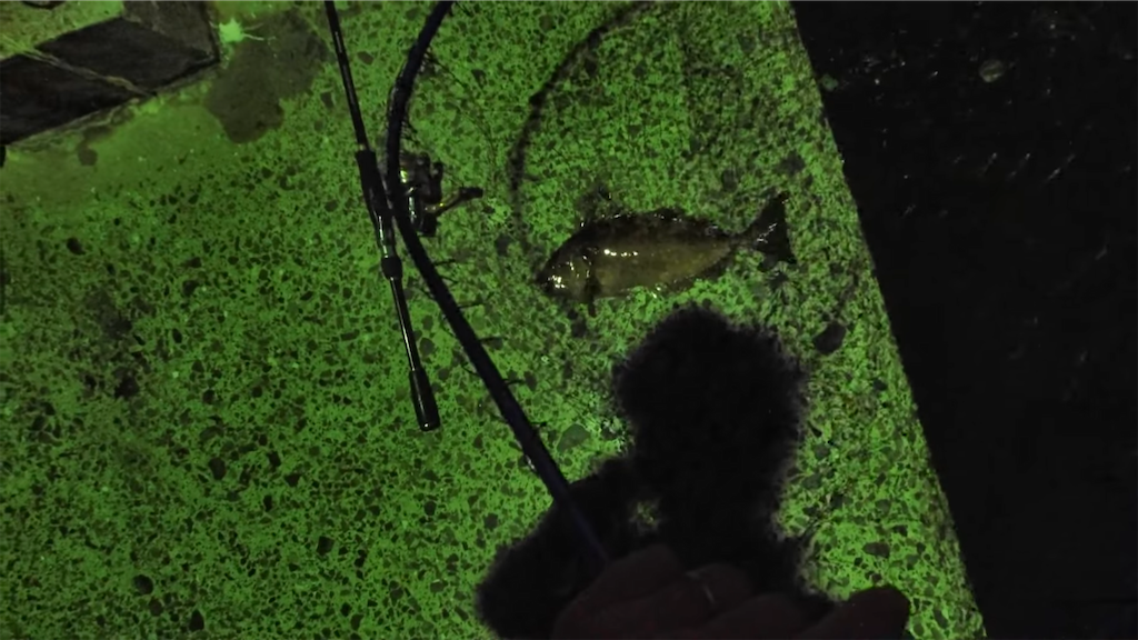 f:id:dreadnote666:20221017120807p:image