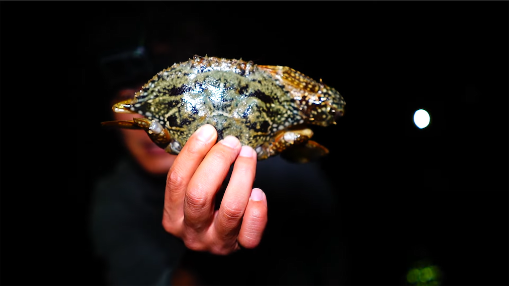 f:id:dreadnote666:20221017120914p:image