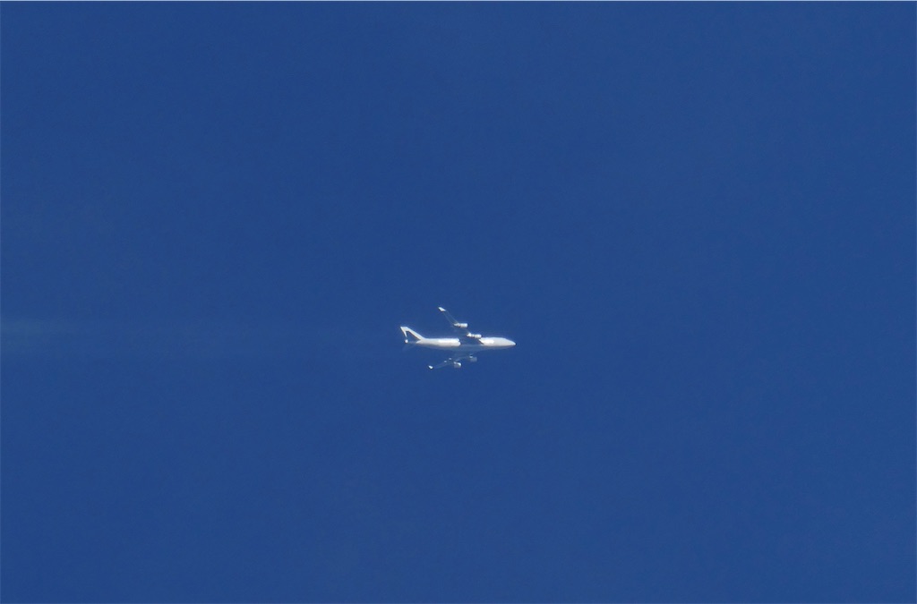 f:id:dreadnote666:20221021111838j:image f:id:dreadnote666:20221021111838j:image