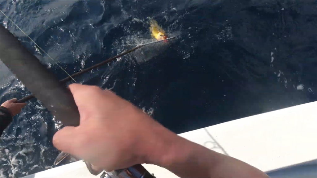 f:id:dreadnote666:20221024115627p:image