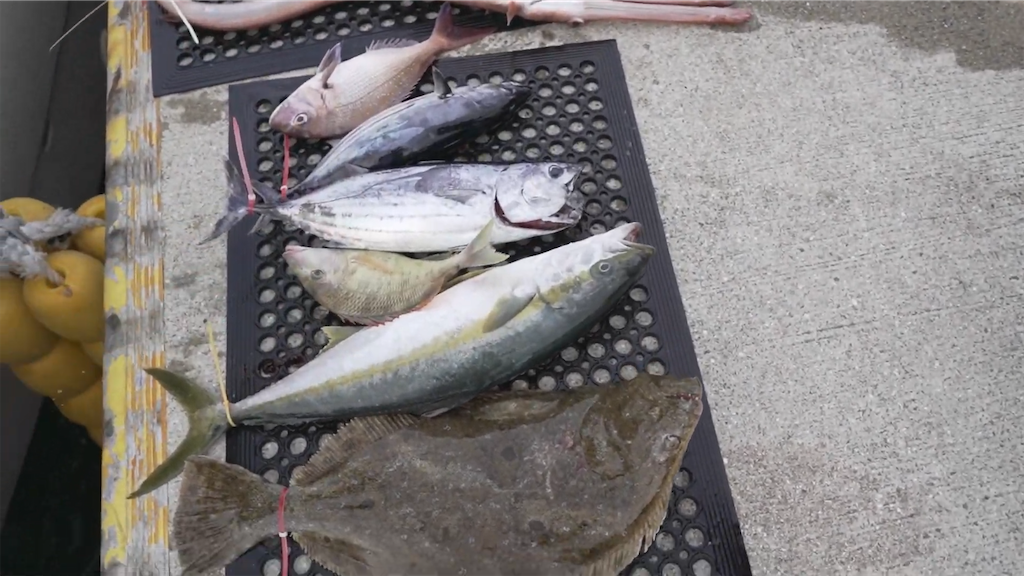 f:id:dreadnote666:20221024115644p:image