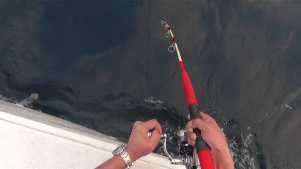 f:id:dreadnote666:20221024115730p:image