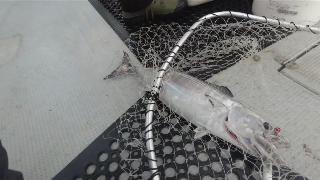 f:id:dreadnote666:20221024115739p:image