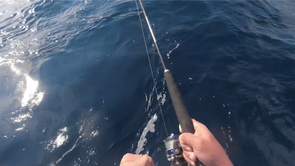 f:id:dreadnote666:20221024115757p:image