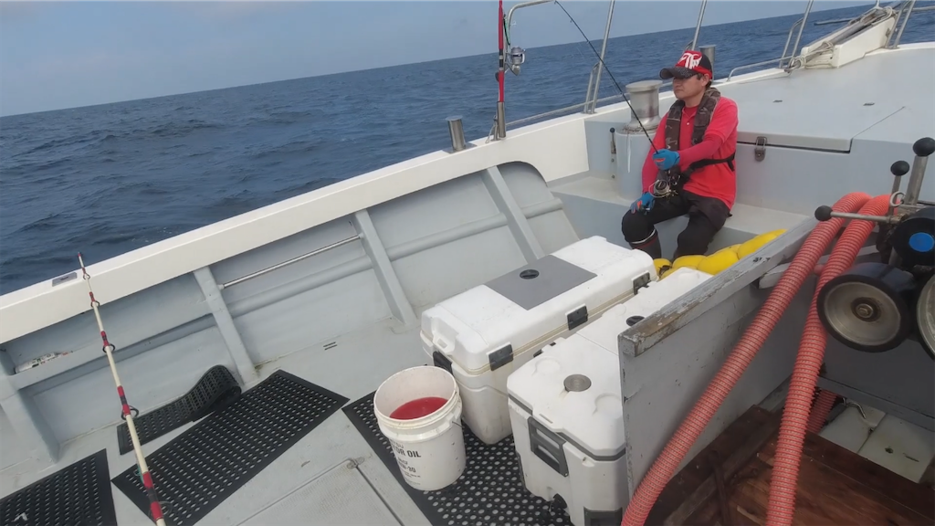 f:id:dreadnote666:20221024115808p:image