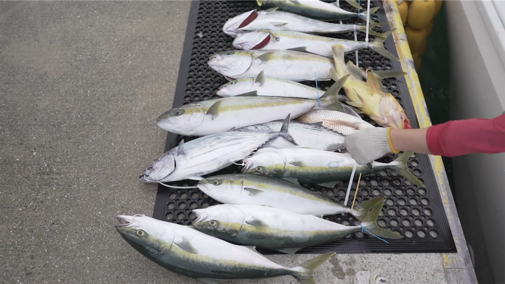 f:id:dreadnote666:20221024115900p:image