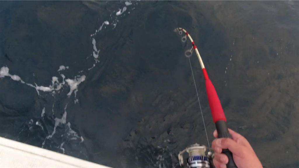 f:id:dreadnote666:20221024120057p:image