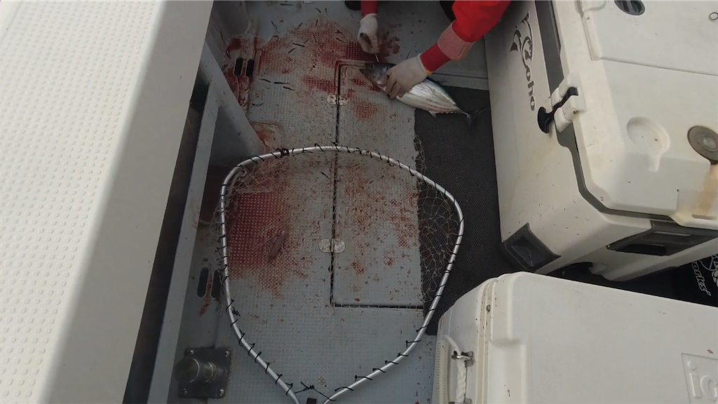 f:id:dreadnote666:20221024120107p:image