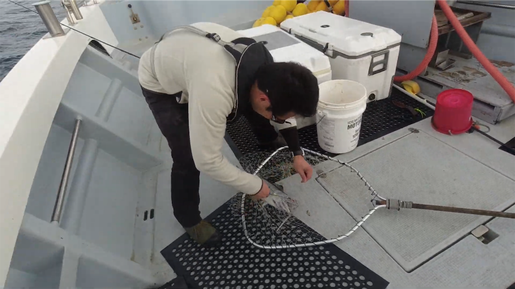 f:id:dreadnote666:20221024120115p:image