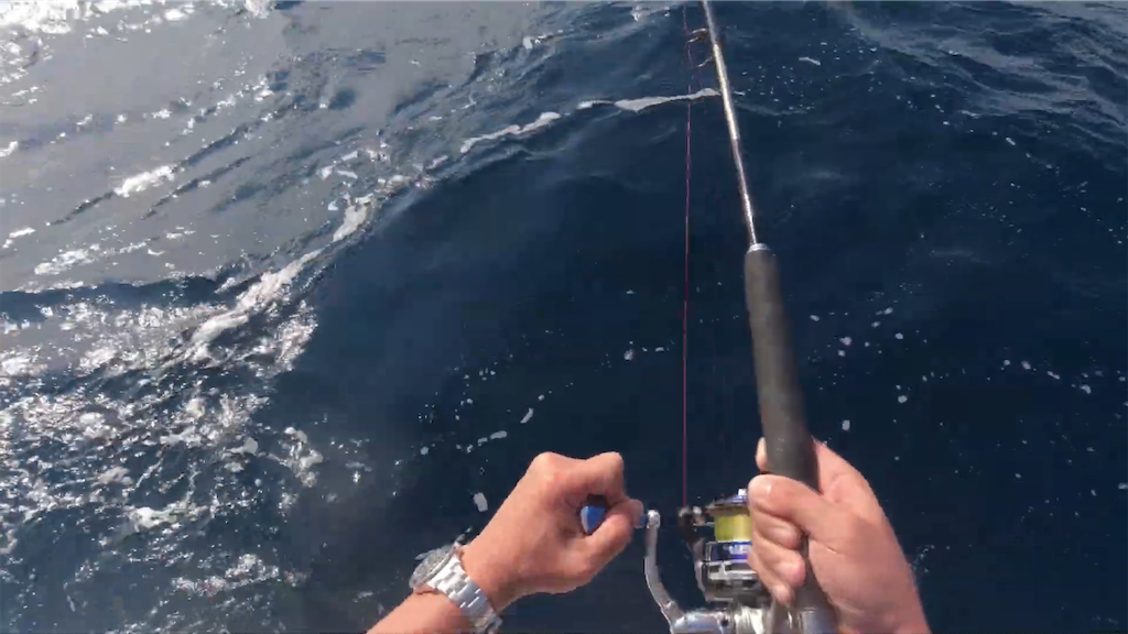 f:id:dreadnote666:20221024120124p:image