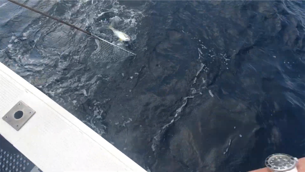 f:id:dreadnote666:20221024120158p:image