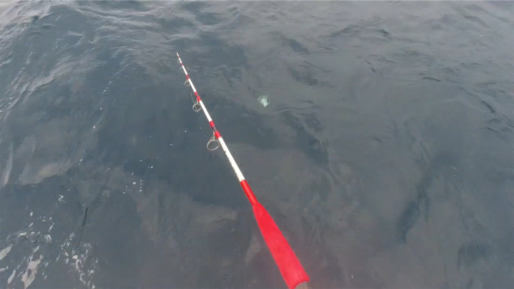 f:id:dreadnote666:20221024120207p:image