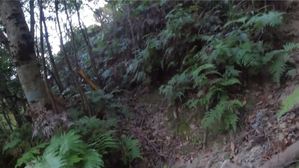 f:id:dreadnote666:20221114122340p:image