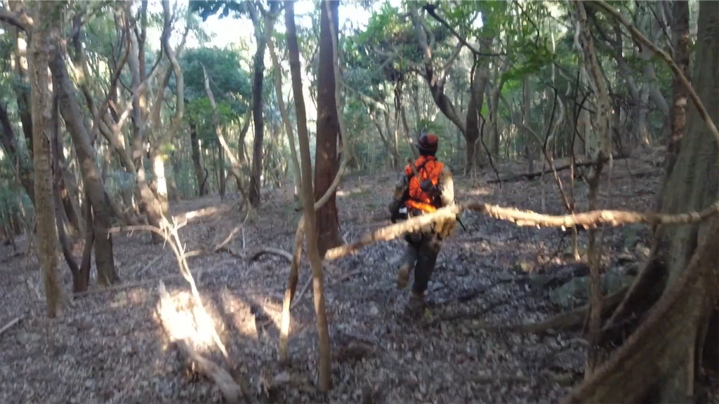 f:id:dreadnote666:20221114122546p:image